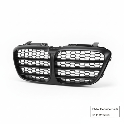 BMW 5 Series F10/F11 Front Center Air-Intake Grille – Genuine OEM 51117285950