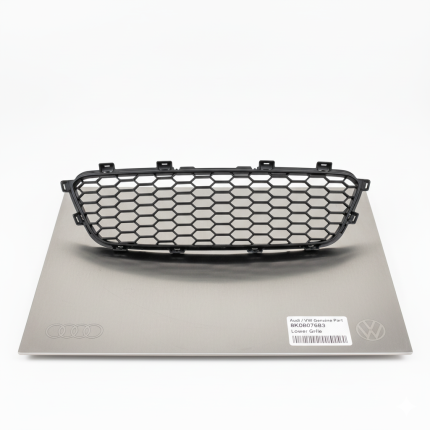 Lower Grille – Audi / VW (8K0807683)