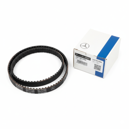 Poly-V Belt – A0019937896